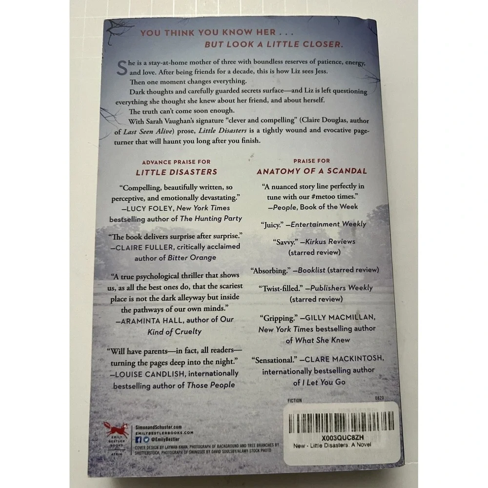 Little Disasters: A Novel‎ By Sarah Vaughan